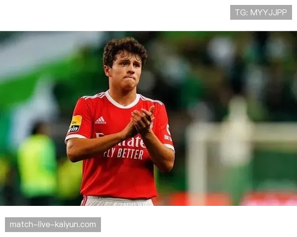 切尔西官方确认，球队中场恩佐·费尔南德斯将因伤错过剩余欧冠赛事